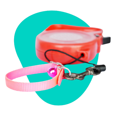 Smycz automatyczna: kiedy warto ją wybrać?