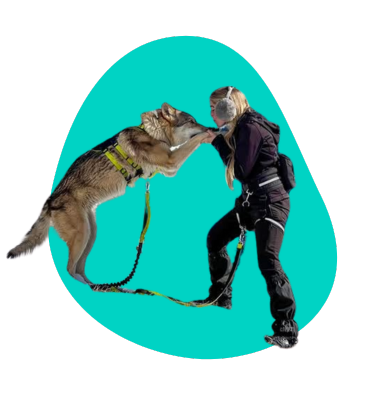 Życie z wilczakiem amerykańskim - wywiad z Patrycją Podhorodecką-Vitouladiti