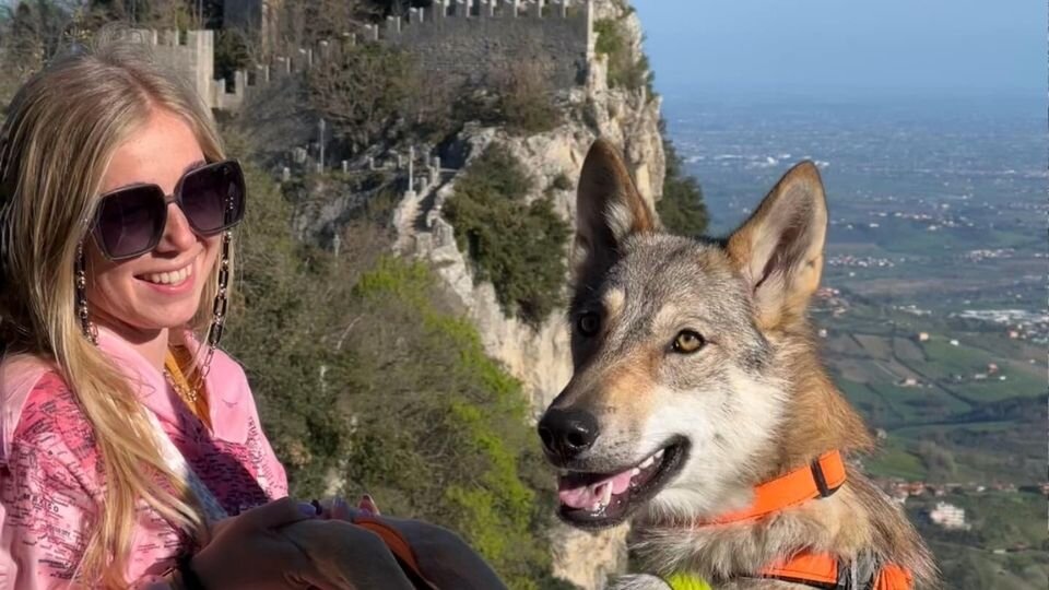 Zdjęcie przedstawiające kobietę z wilczakiem amerykańskim na tle zamku w górach