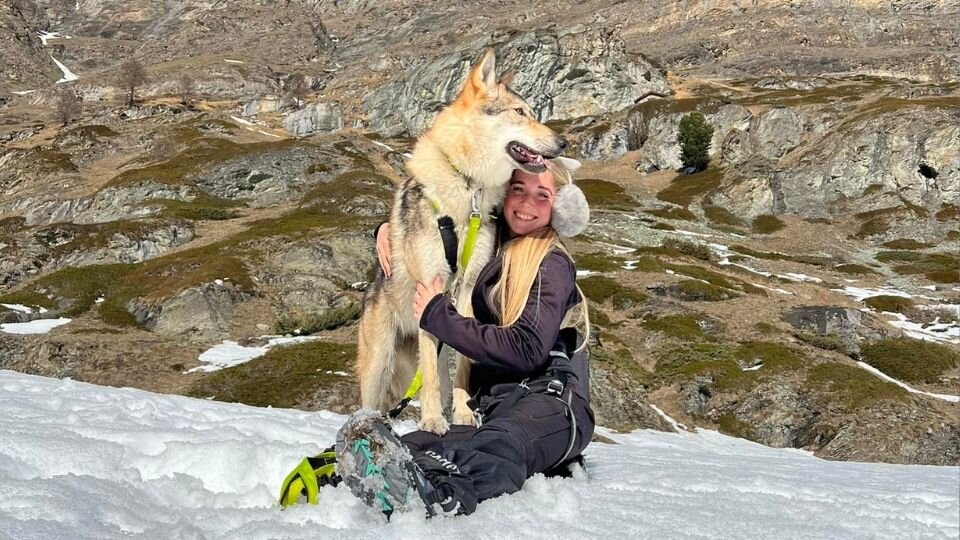 Zdjęcie przedstawiające kobietę przytulającą wilczaka amerykańskiego na śniegu, na tle gór