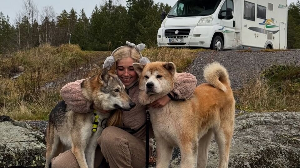 Zdjęcie przedstawiające kobietę przytulającą wilczaka amerykańskiego i akitę inu na tle kampera