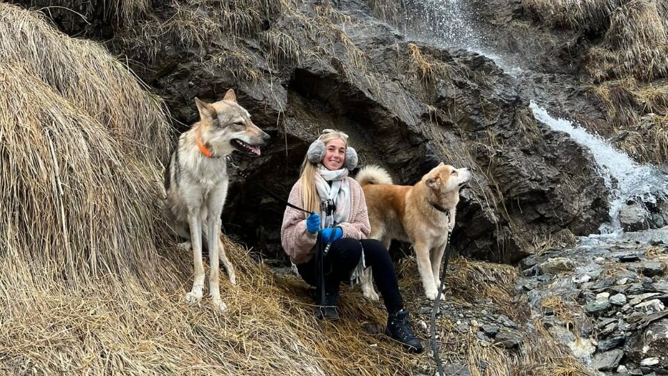 Zdjęcie przedstawiające kobietę z wilczakiem amerykańskim i akitą inu nad górskim strumykiem
