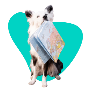 GPS dla psa: ranking najlepszych lokalizatorów dla czworonogów