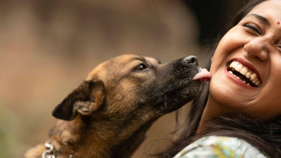 Zdjęcie przedstawiające psa liżącego po twarzy śmiejącą się dziewczynę