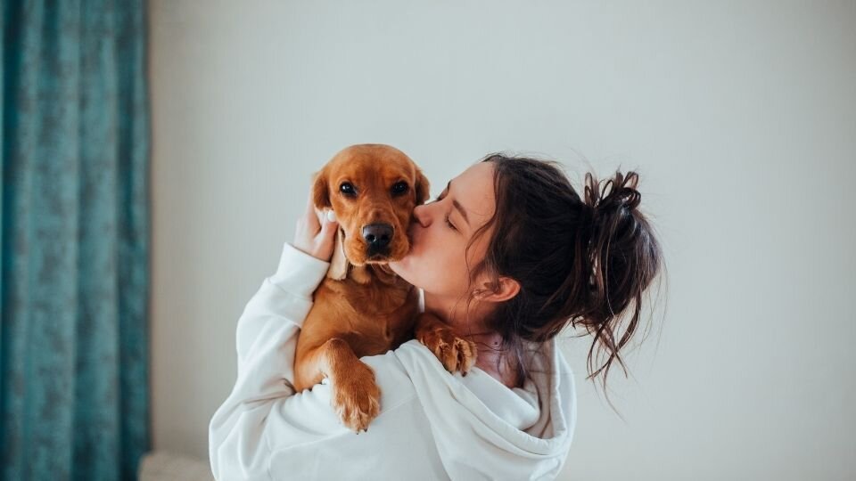 Zdjęcie przedstawia młodą kobietę trzymającą na rękach i całującą psa w celu budowania jego zaufania