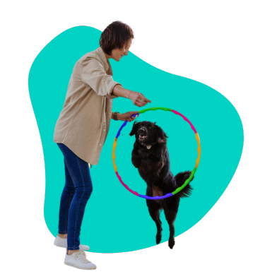 Psie sporty: jakie dyscypliny kynologiczne uprawiać ze swoim psem?