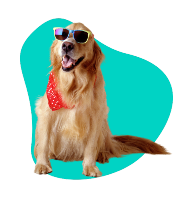 Spokojne rasy psów: które sprawdzą się w roli psa rodzinnego?