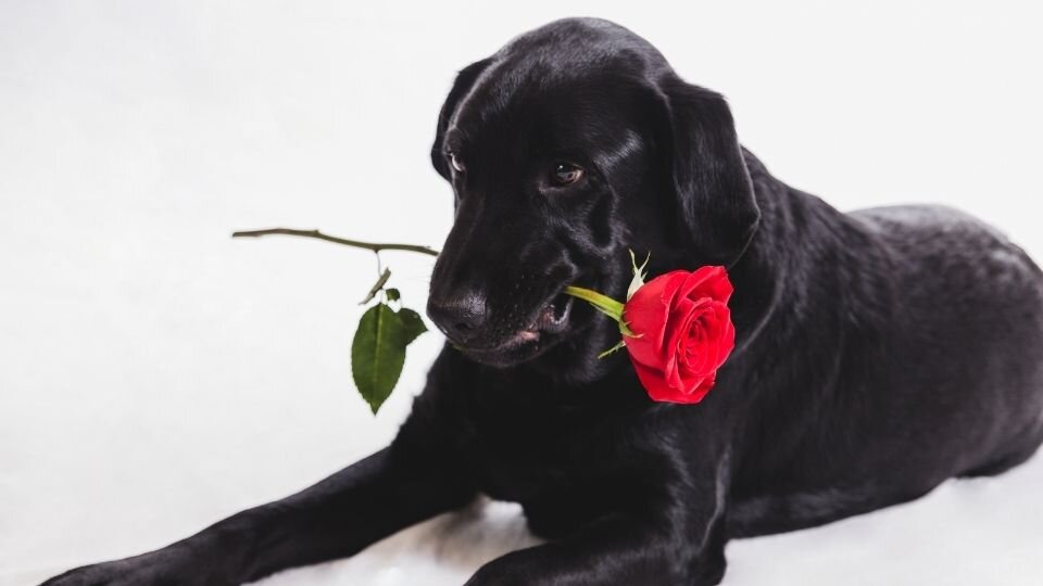 Zdjęcie przedstawia 