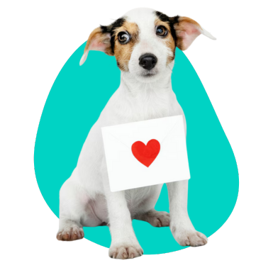 Dzień psa: 1 lipca i 26 sierpnia. Jak świętować ze swoim pupilem?