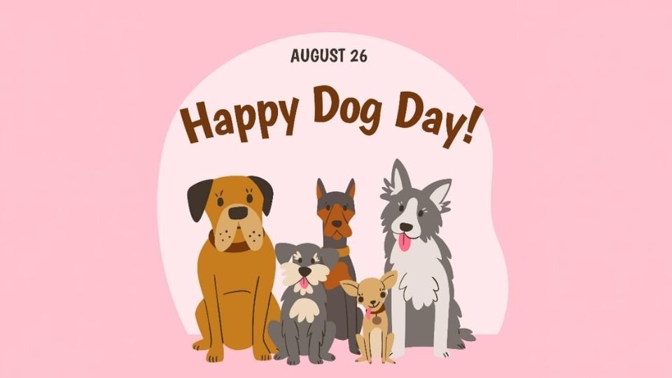 Grafika przedstawia plakat promujący Międzynarodowy Dzień Psa