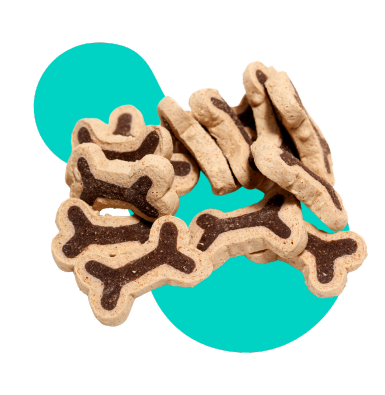 Przekąski dla psa jako nagroda za dobre zachowania