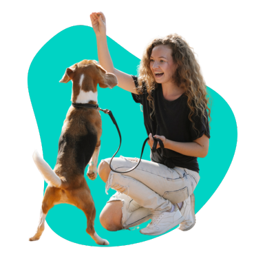 Treserki dla psa: rola przysmaków w treningu pozytywnym