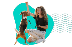 Treserki dla psa: rola przysmaków w treningu pozytywnym