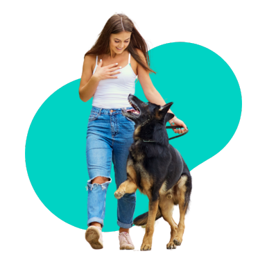 Nauka posłuszeństwa z przysmakami dla psa