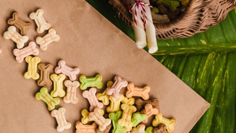 Zdjęcie przedstawia różnokolorowe przysmaki dla psa w kształcie kości