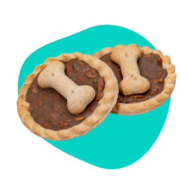 Smaczki dla psa: nagroda czy łapówka?