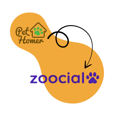 Pethomer staje się Zoocial Petsitting - nowa nazwa, ta sama pasja do zwierząt