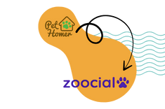 Pethomer staje się Zoocial Petsitting - nowa nazwa, ta sama pasja do zwierząt