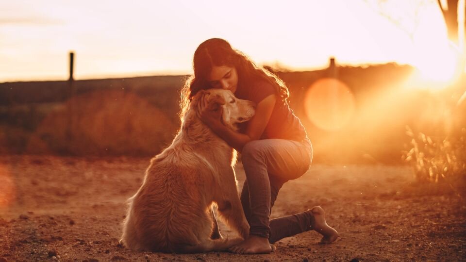 Zdjęcie przedstawia psa rasy golden retriever przytulanego przez opiekunkę podczas zachodu słońca