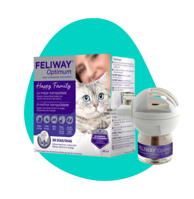 Siła feromonów: naturalne wsparcie behawioralne dla zwierząt