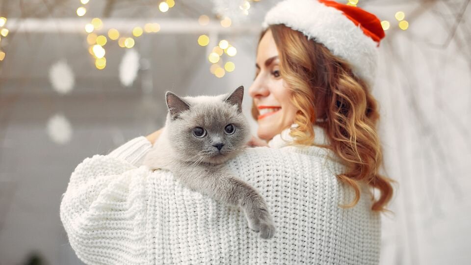 Zdjęcie przedstawia młodą kobietę w czapce Mikołaja spędzającą święta z kotem.
