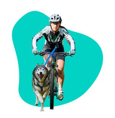 Bikejoring: jak zacząć przygodę z psem i rowerem?