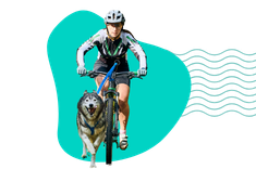 Bikejoring: jak zacząć przygodę z psem i rowerem?