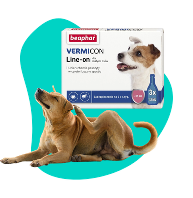 Co na pchły i kleszcze dla psa i kota?