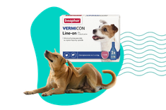 Co na pchły i kleszcze dla psa i kota?