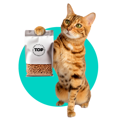 Karma dla kota — na co zwrócić uwagę przy wyborze pokarmu dla mruczka?