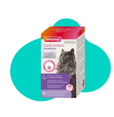 Zastosowanie dyfuzorów feromonowych w codziennym życiu psów i kotów: praktyczne porady dla właścicieli