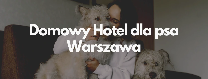 psi hotel warszawa