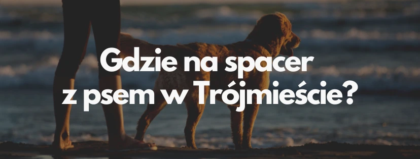 Gdzie na spacer z psem w trojmiescie