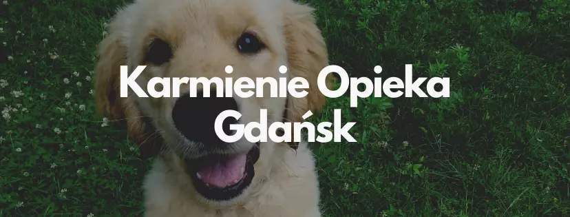 karmienie opieka gdansk