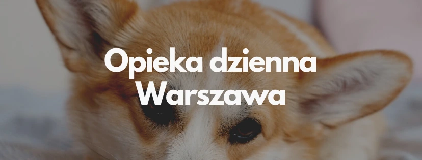 opieka dzienna warszawa