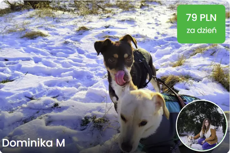 opieka poznan petsitter