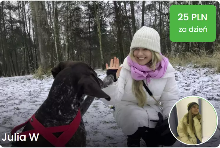 opiekun petsitter katowice