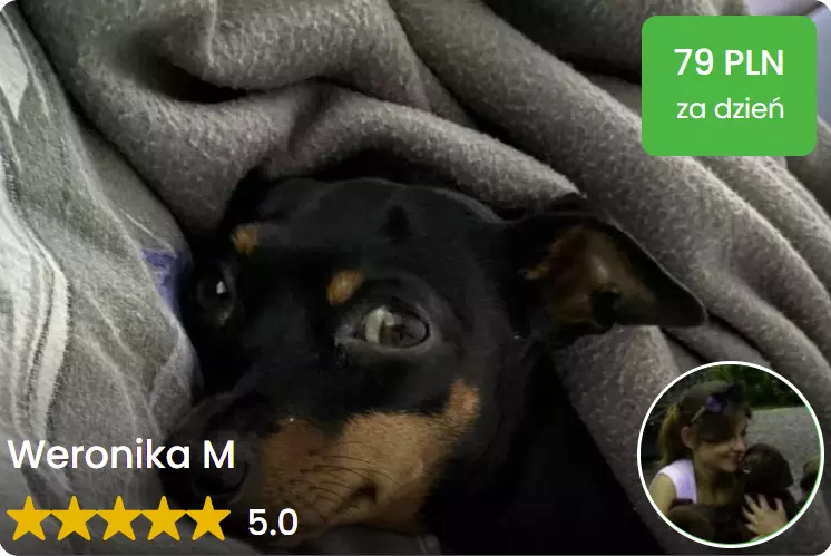 petsitter gdansk opieka