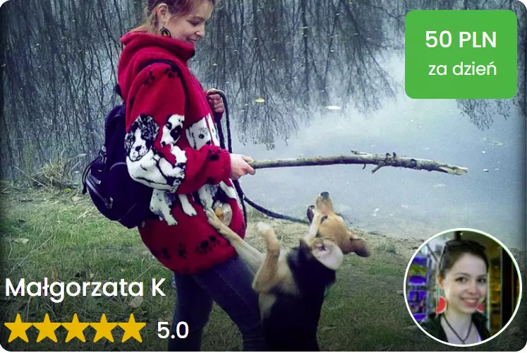 petsitter gdansk opieka