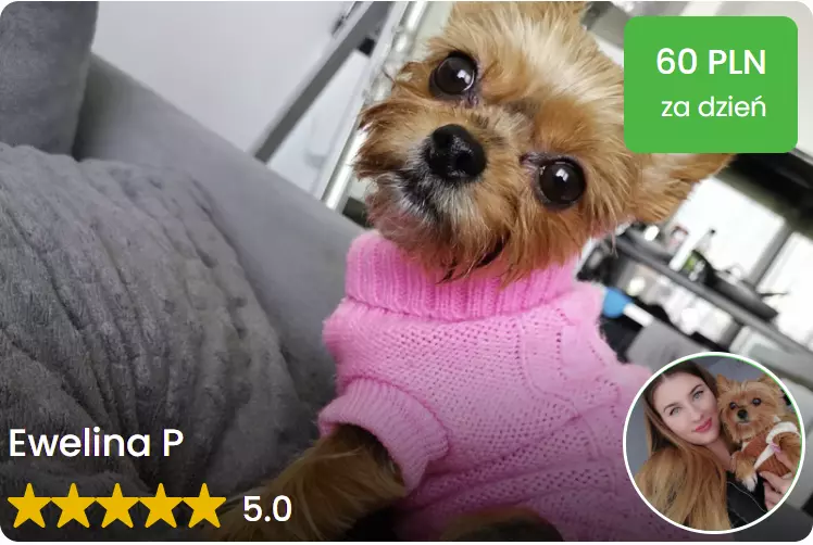 petsitter opiekun wroclaw