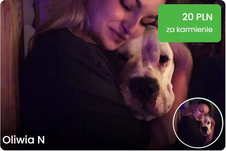 petsitter poznan