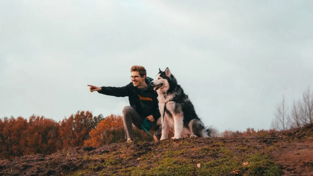 gdzie na spacer z psem w warszawie petsitter pethomer wyprowadzanie psow
