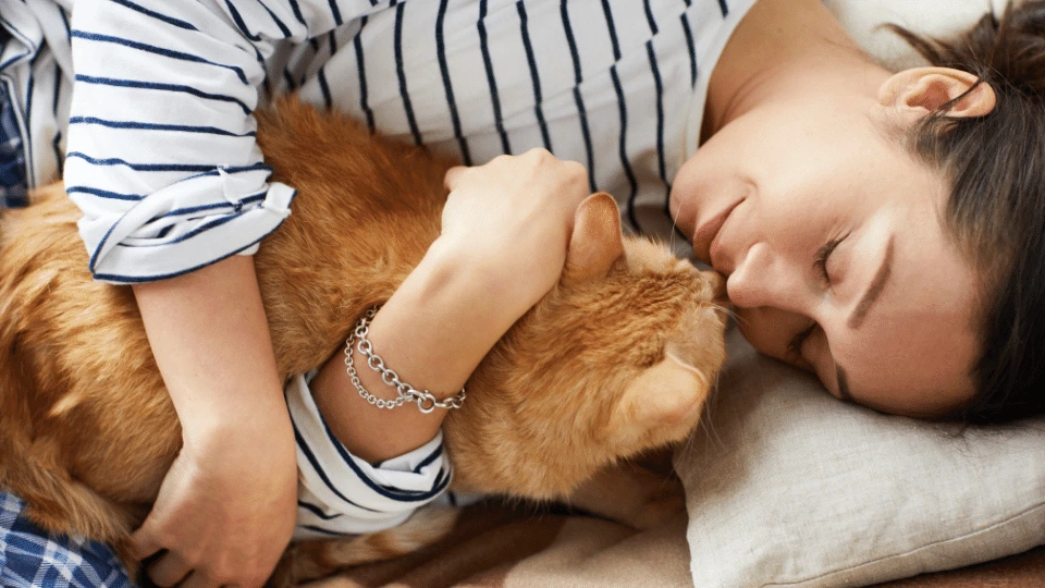 Koci katar - objawy, przyczyny i leczenie