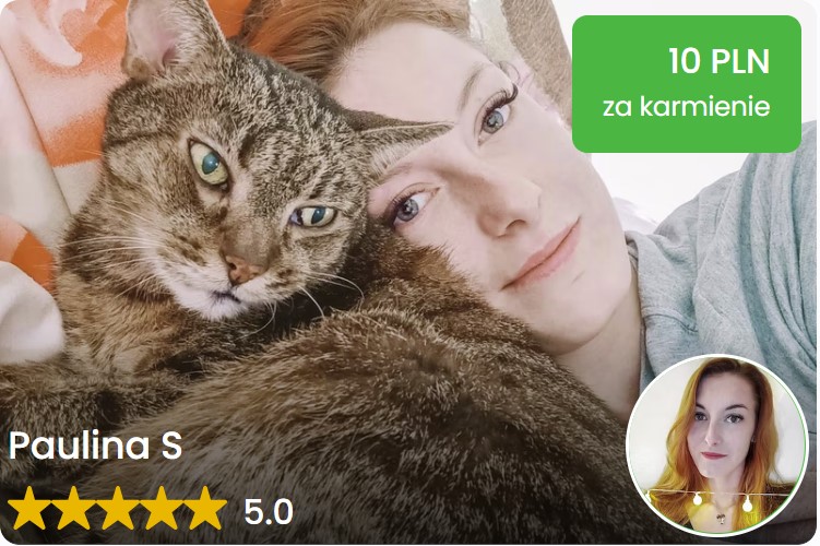 szybkie karmienie lodz pet sitter