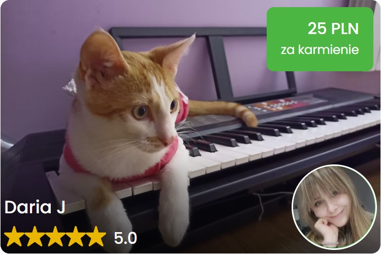 szybkie karmienie lodz pet sitter