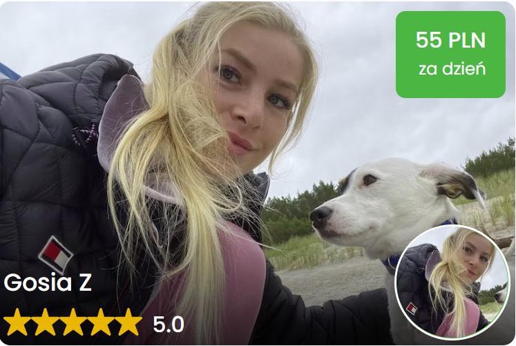 opieka dzienna wroclaw pet sitter