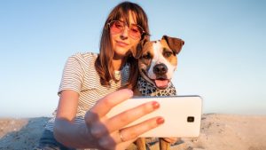 aplikacja mobilna pethomer pies petsitter