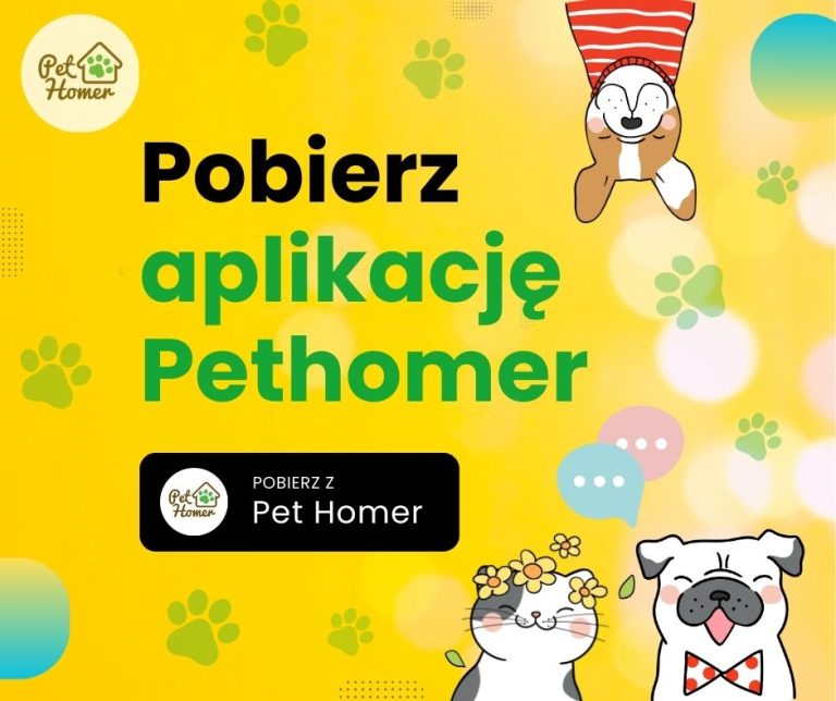 Aplikacja mobilna Pethomer