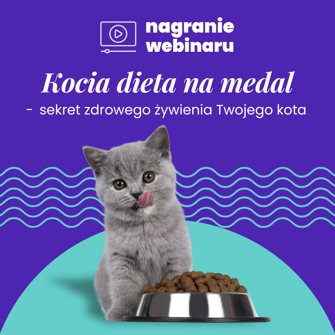 Kocia dieta na medal: Sekrety zdrowego żywienia Twojego kota - Webinar Akademii Zoocial