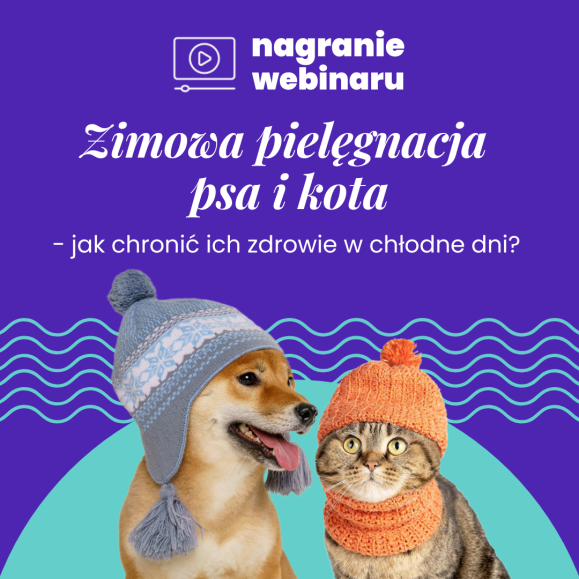 Zimowa pielęgnacja psa i kota – jak chronić ich zdrowie w chłodne dni? Webinar Akademii Zoocial